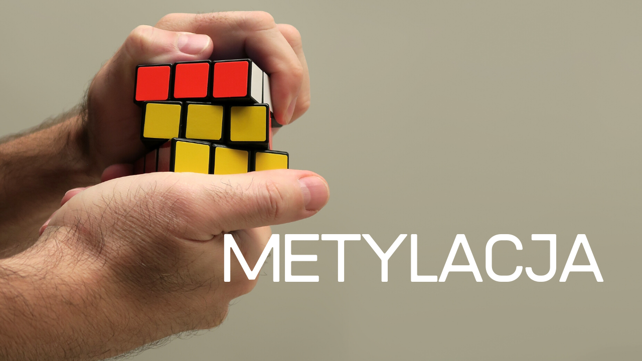 Metylacja, to nie takie proste, jak myślisz…