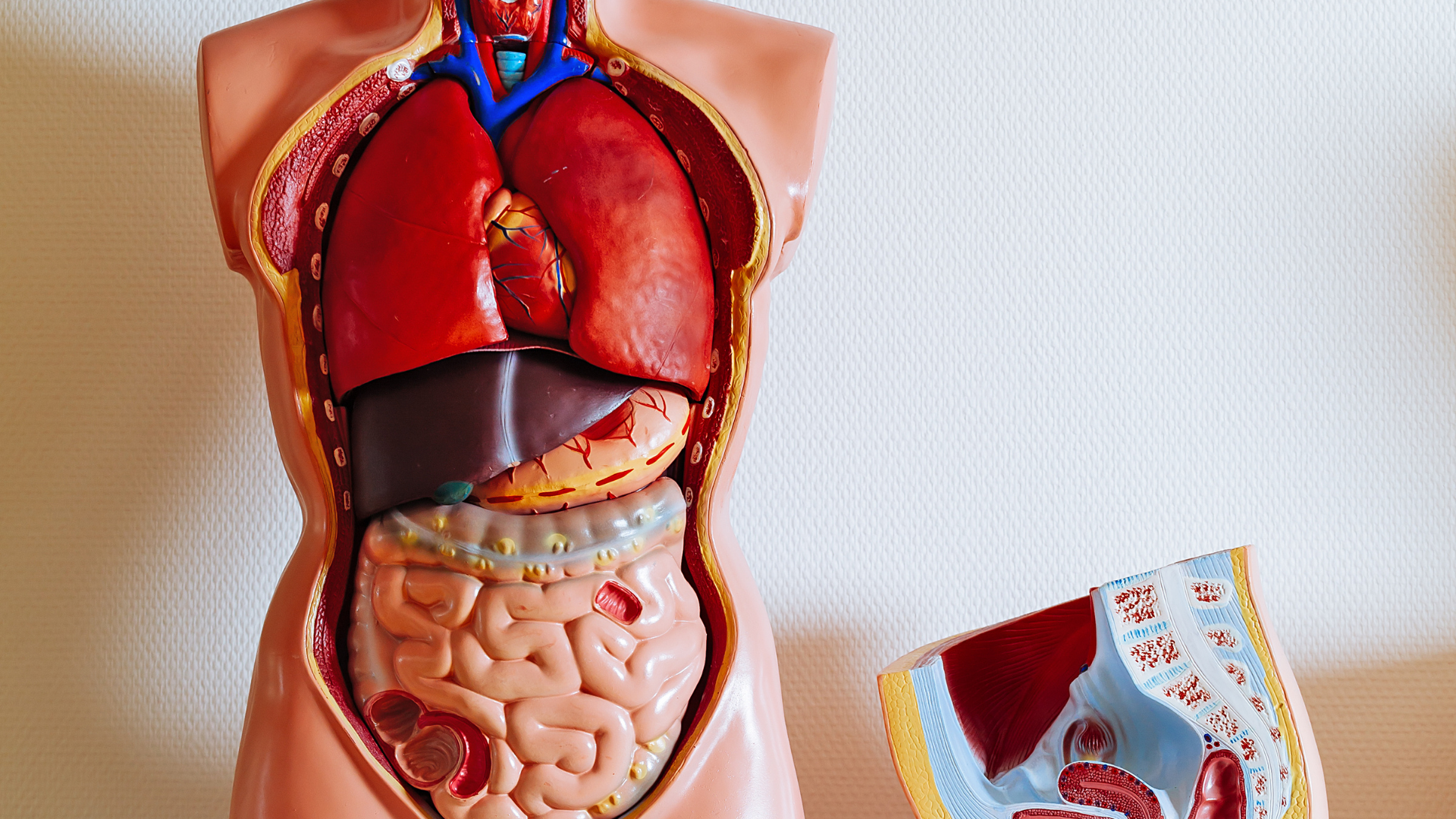 Objawy problemów z wątrobą