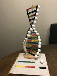 Podwyższony poziom żelaza? Przyczyną często jest mutacja w genie HFE!