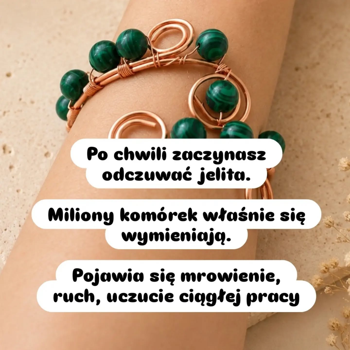 Wpis z Instagrama — 19.08.2026