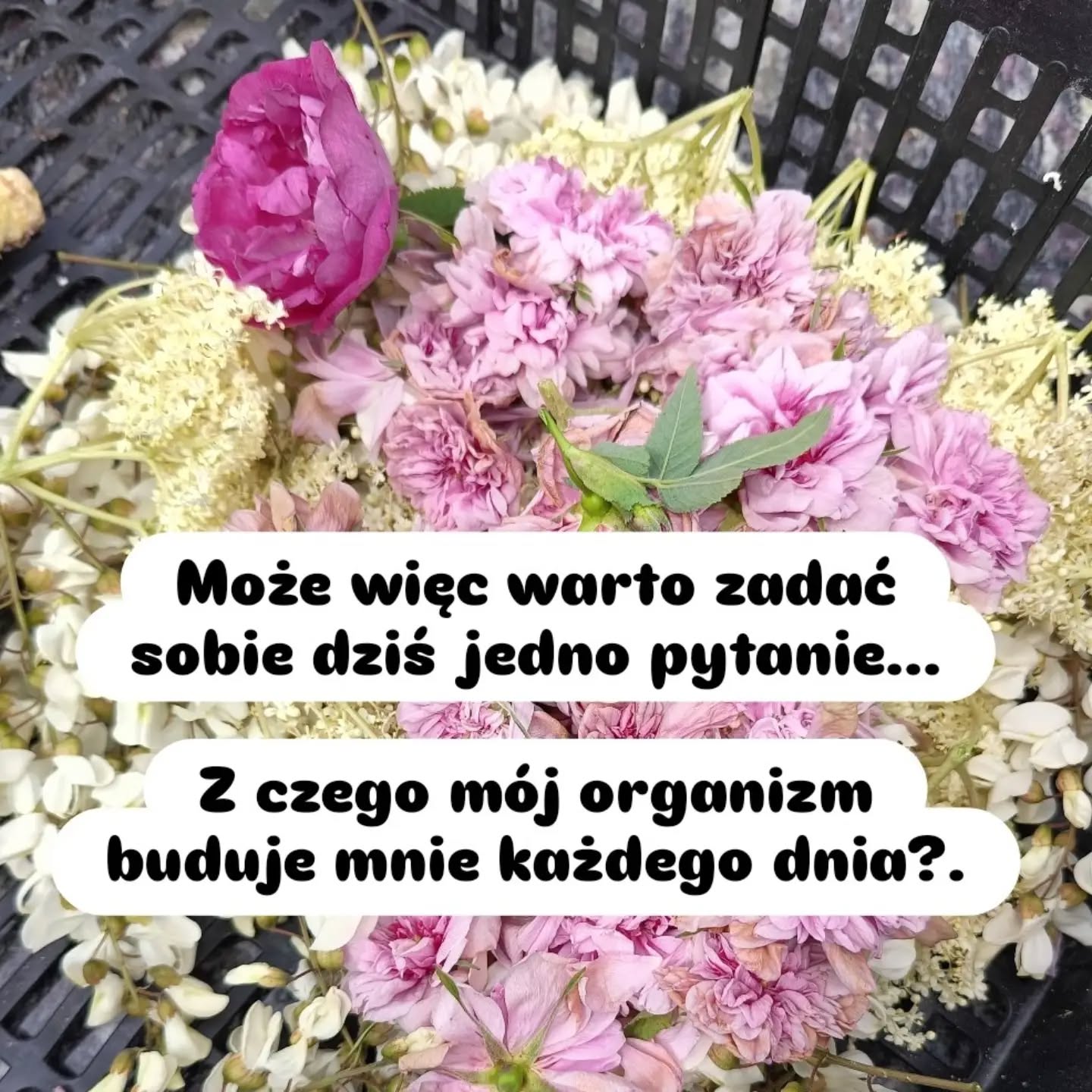 Wpis z Instagrama — 19.08.2026