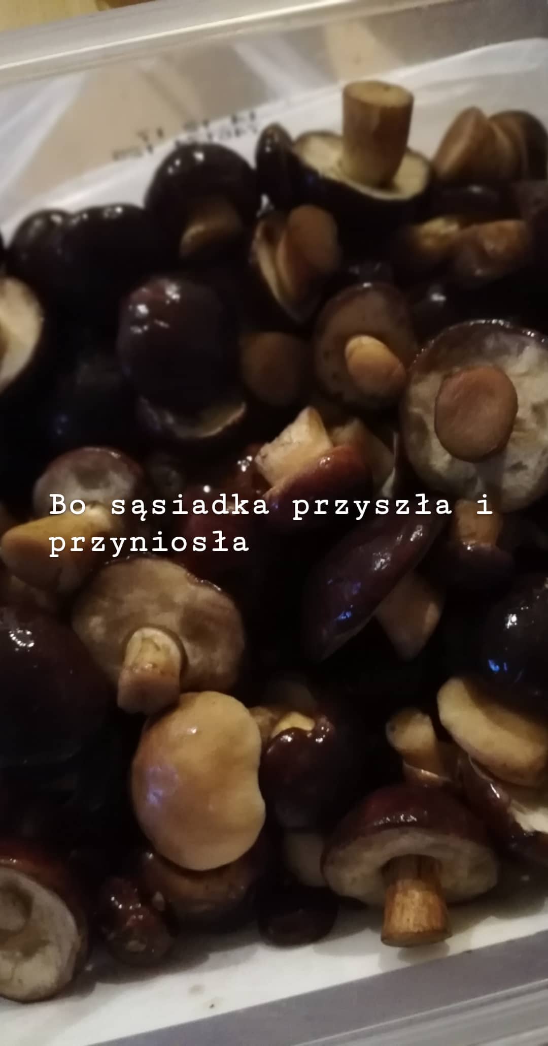 Bo sąsiadka przyszła i przyniosła