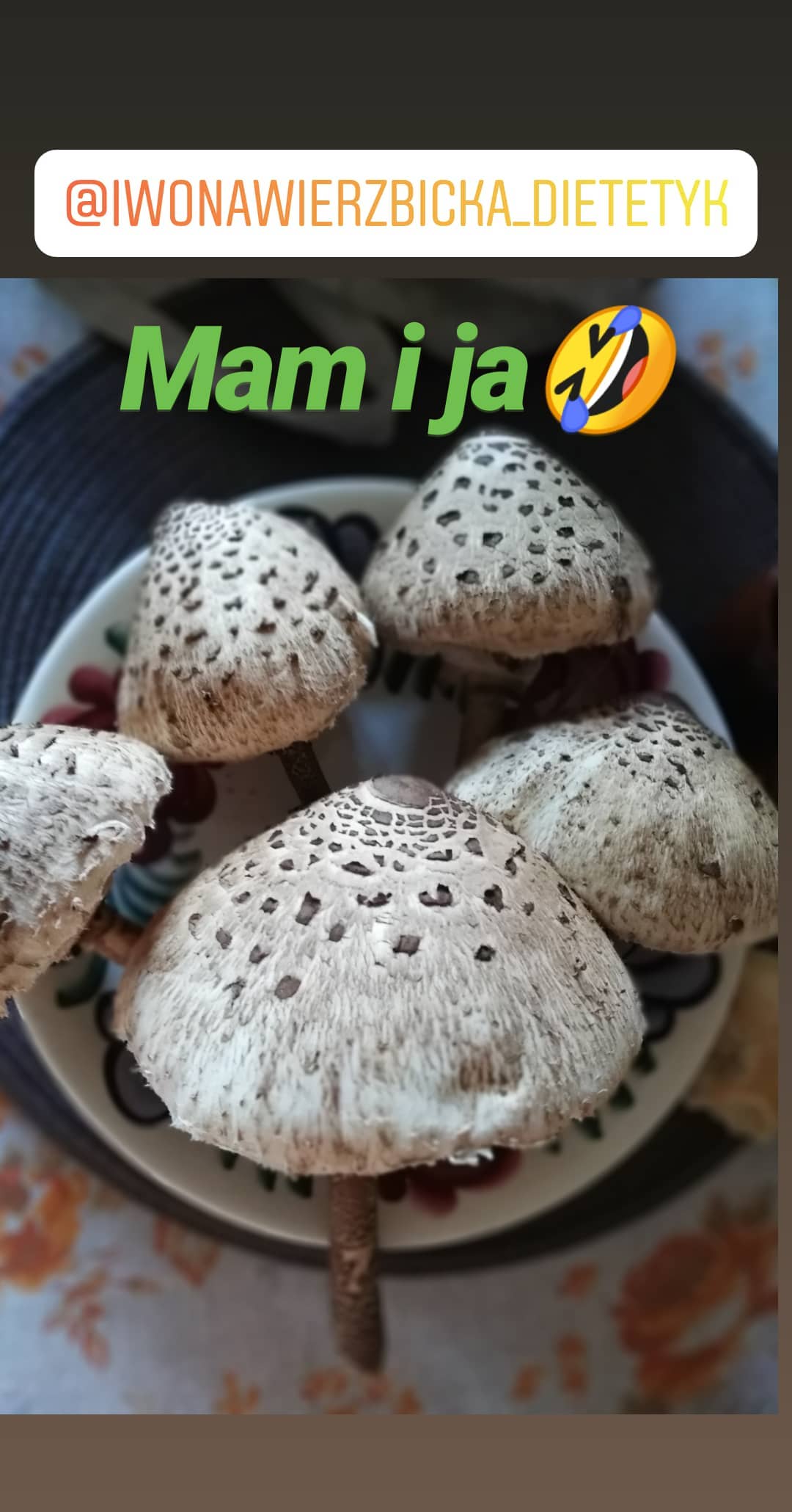 Mam i jað¤£