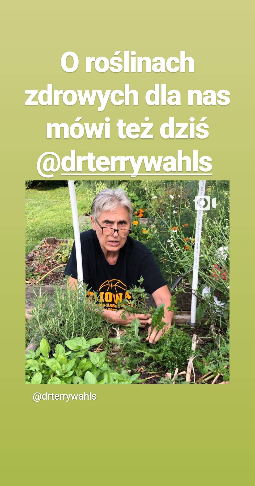 O roślinach zdrowych dla nas mówi też dziś @drterrywahls