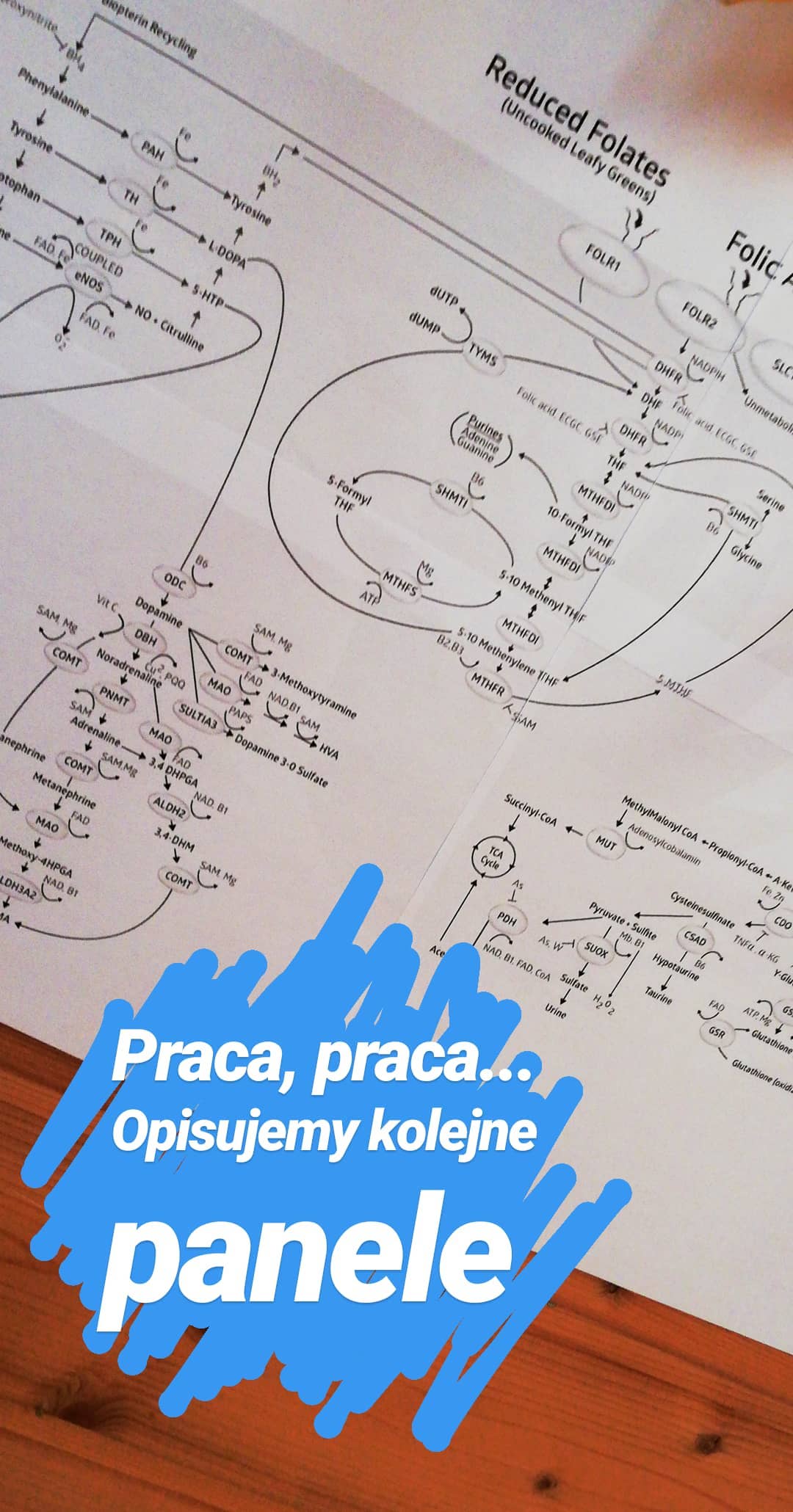 Praca, praca... Opisujemy kolejne panele