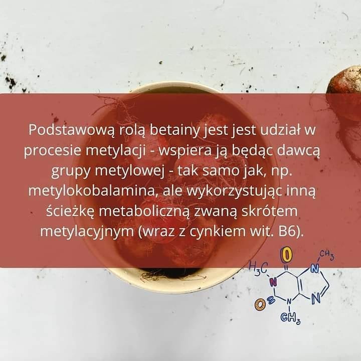 W dzisiejszych czasach wiemy więcej niż kiedykolwiek, a wciąż jesteśmy na samym wierzchołku góry…