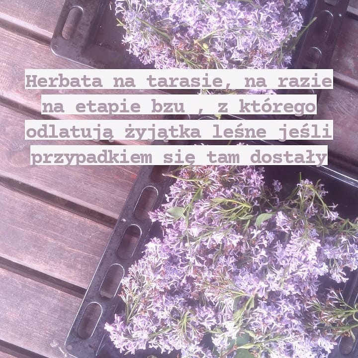Wpis z Instagrama — 29.05.2021