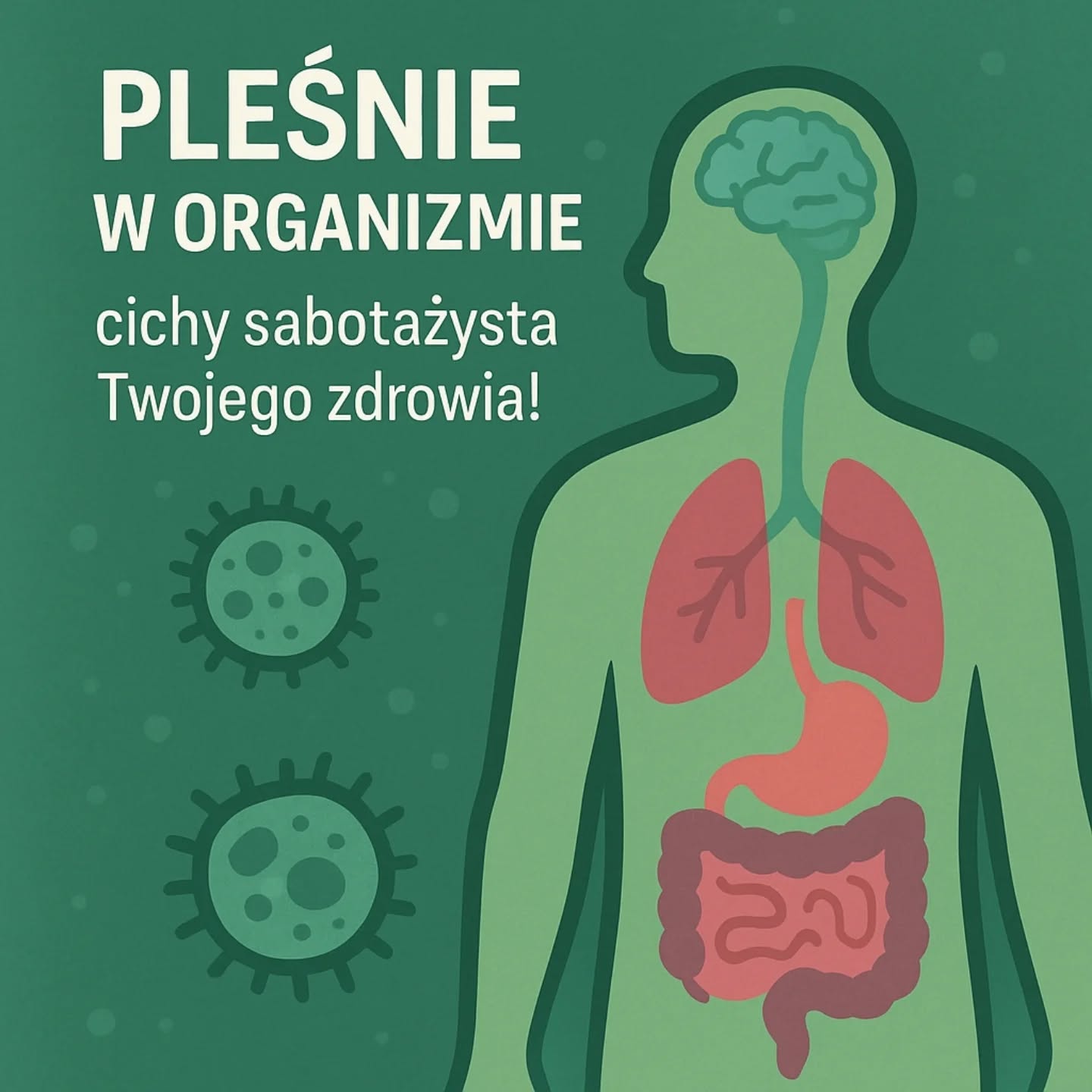Wpis z Instagrama — 28.04.2025