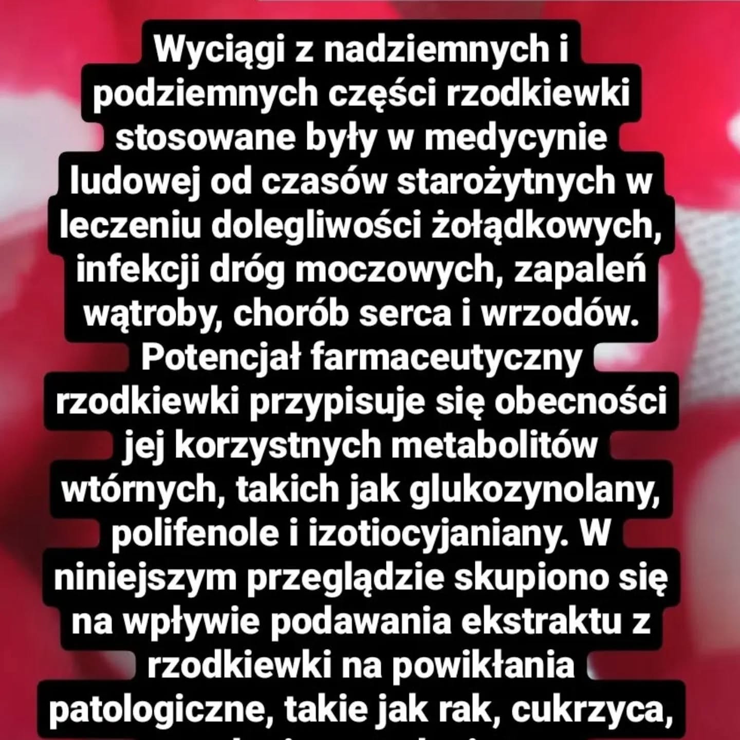 Wpis z Instagrama — 05.05.2025