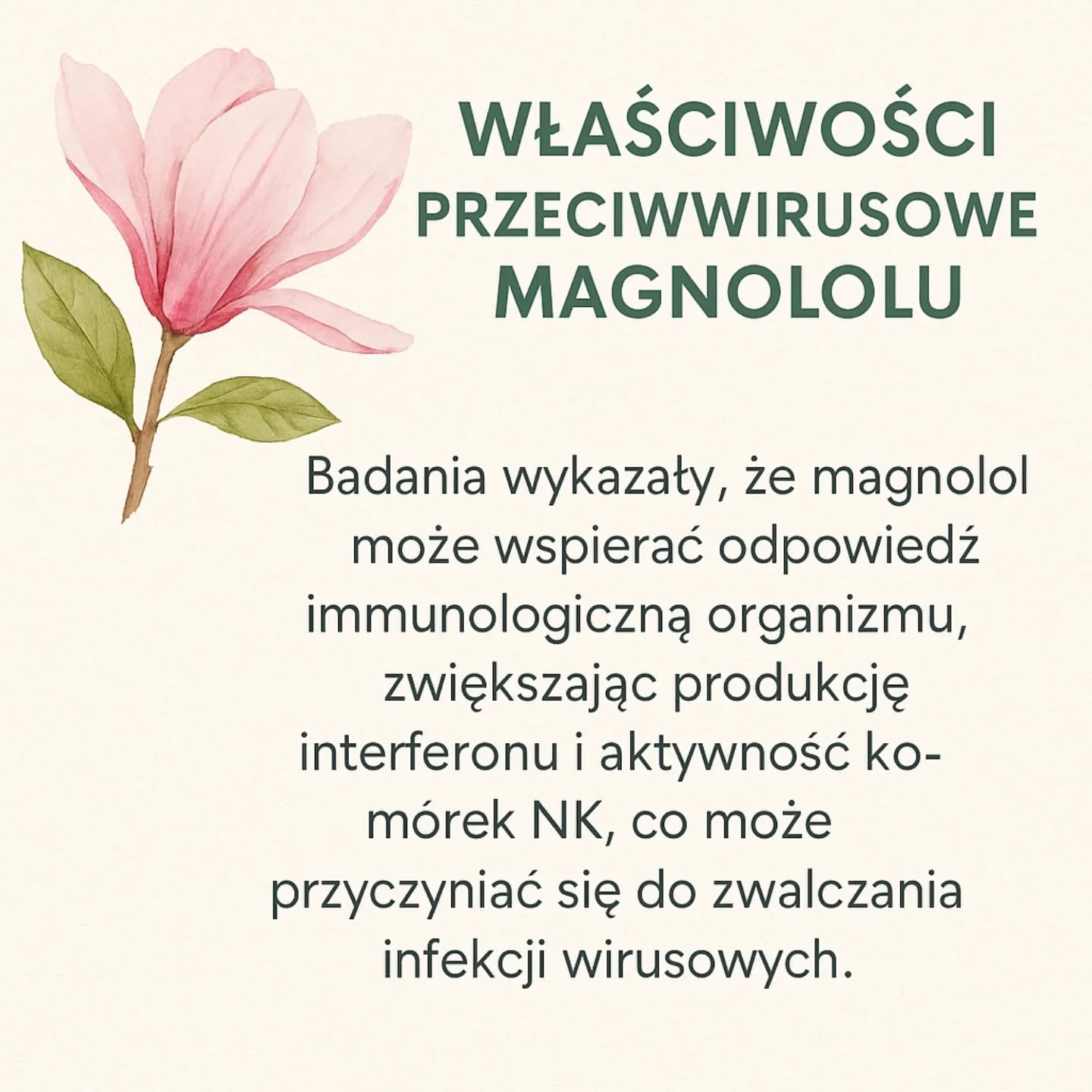 Wpis z Instagrama — 09.05.2025