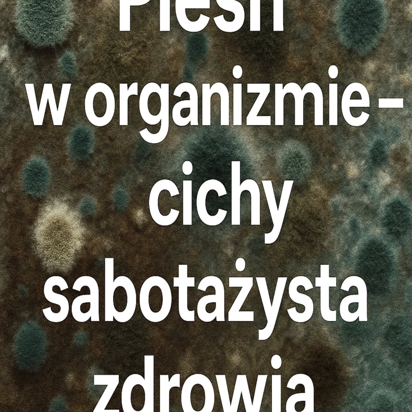 Wpis z Instagrama — 29.12.2025