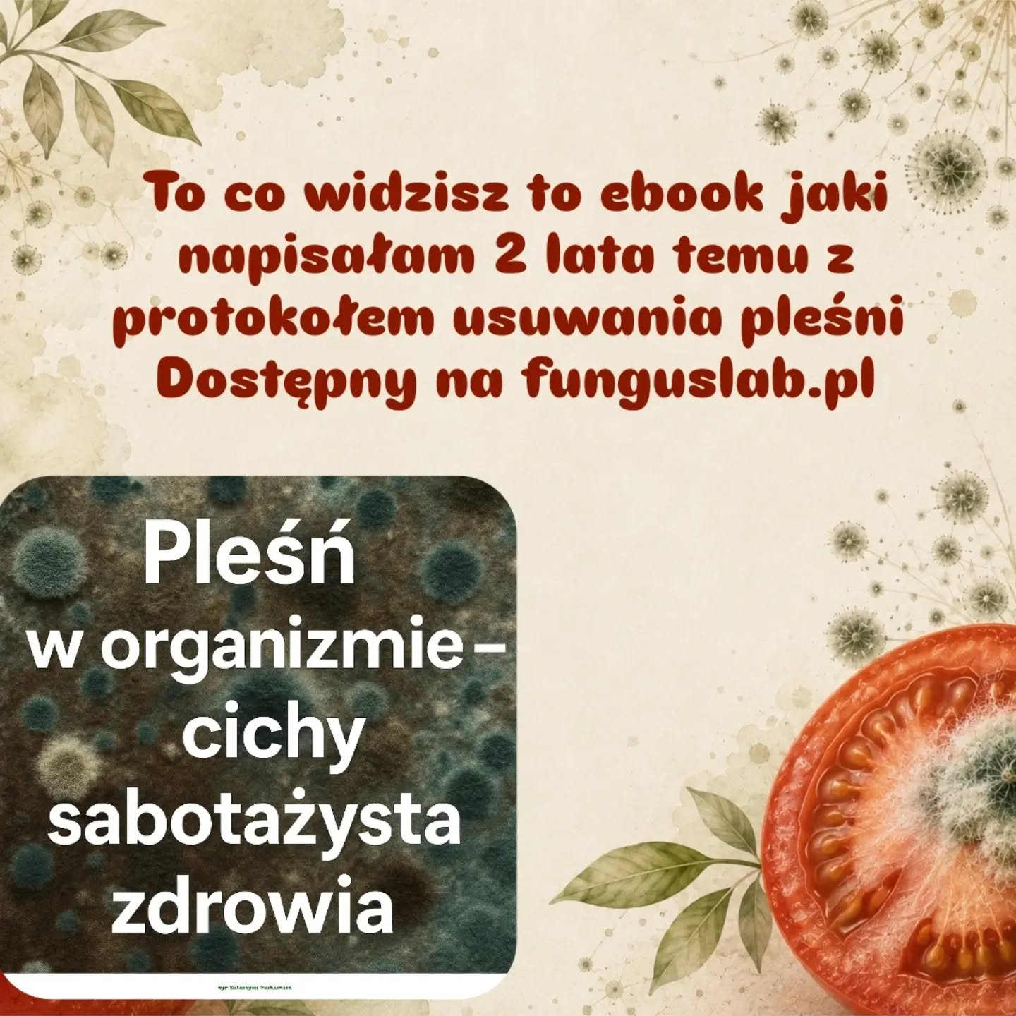 Wpis z Instagrama — 10.08.2026