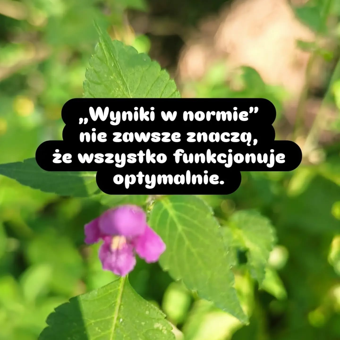 Wpis z Instagrama — 04.08.2026