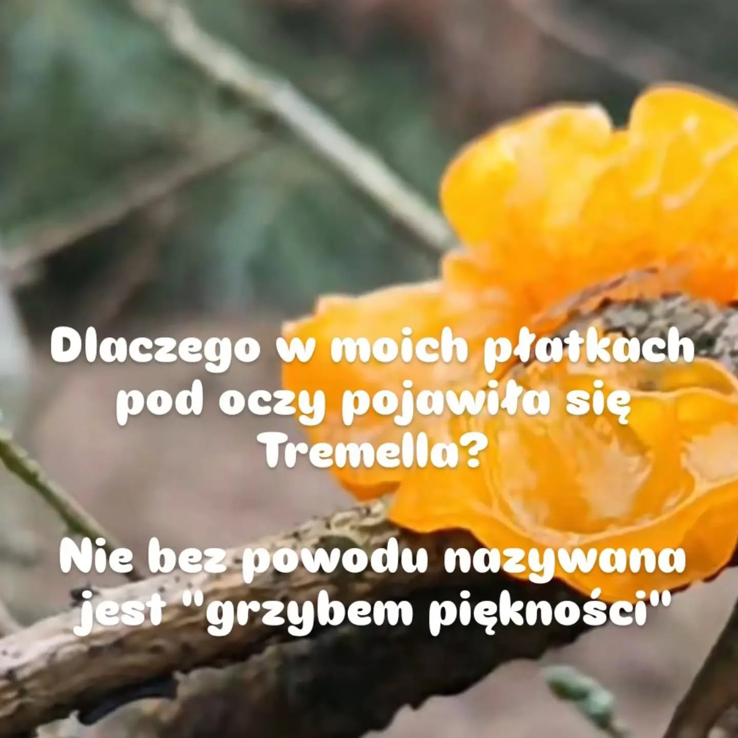 Kiedy tworzyłam recepturę płatków pod oczy, wiedziałam jedno – nie chcę kolejnego kosmetyku opartego…