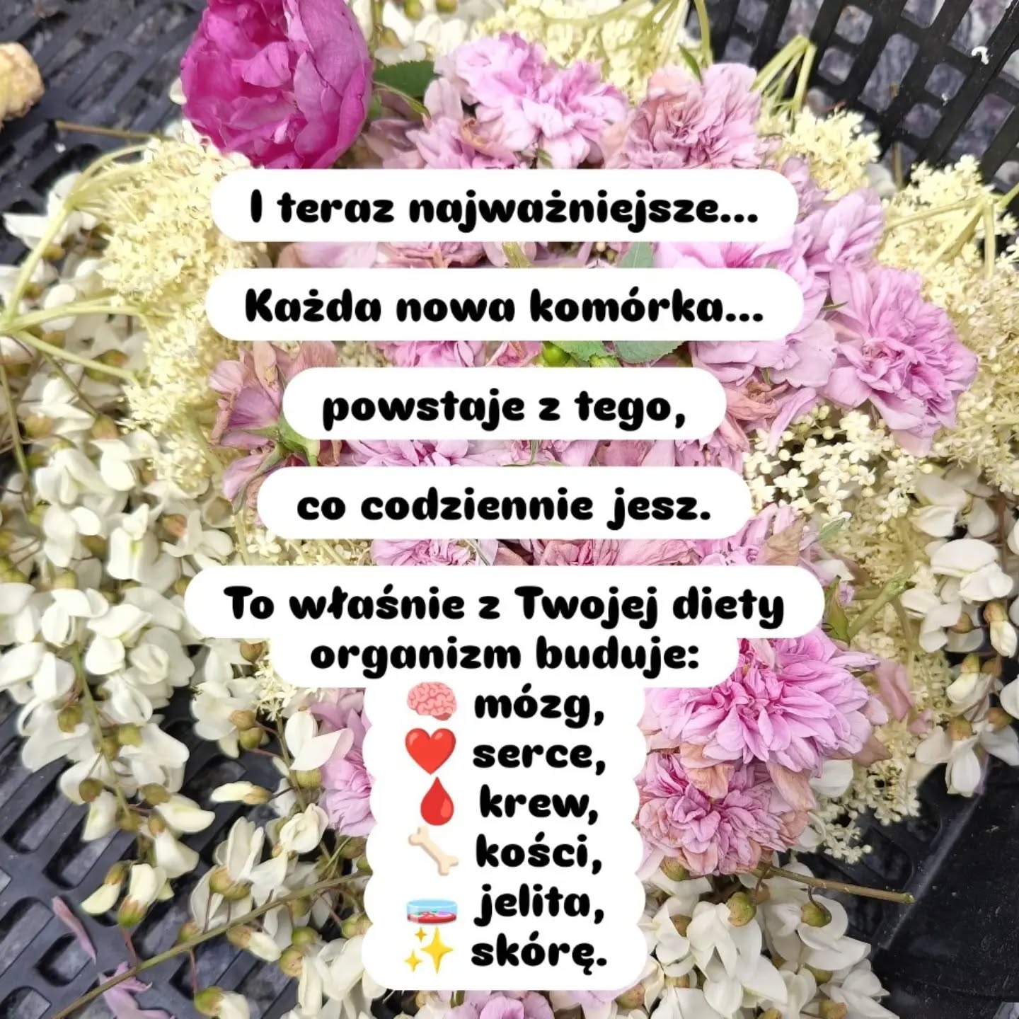 Wpis z Instagrama — 19.08.2026