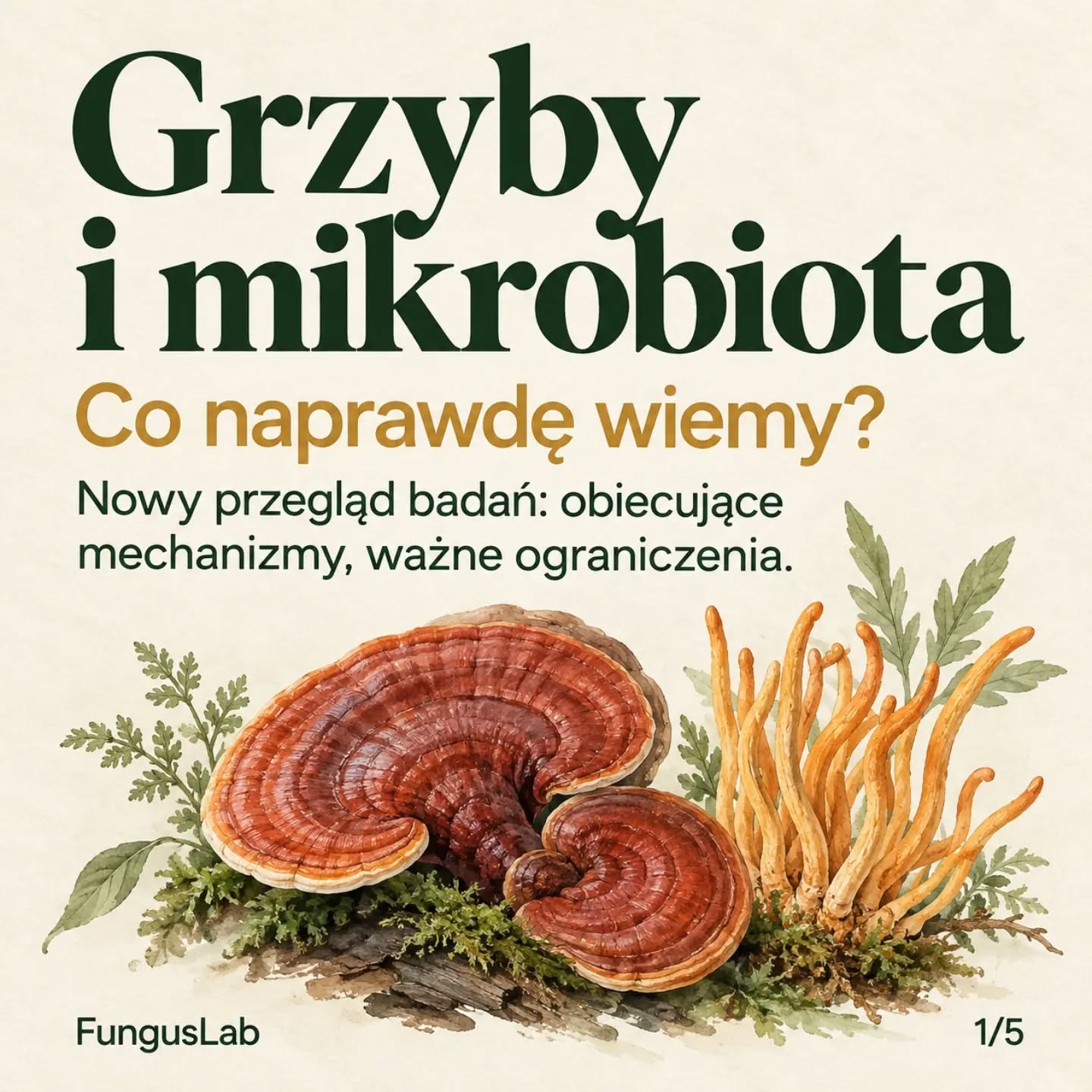 🍄 Grzyby, mikrobiota i metabolizm — coraz więcej badań pomaga nam zrozumieć te powiązania.