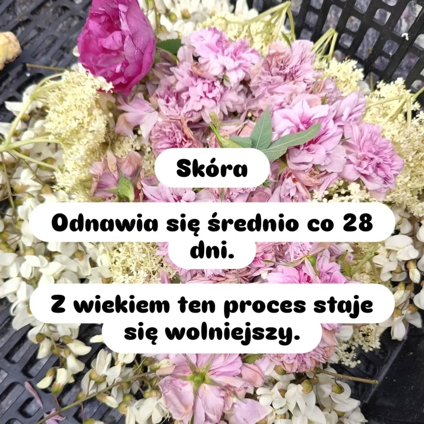 Wpis z Instagrama — 19.08.2026
