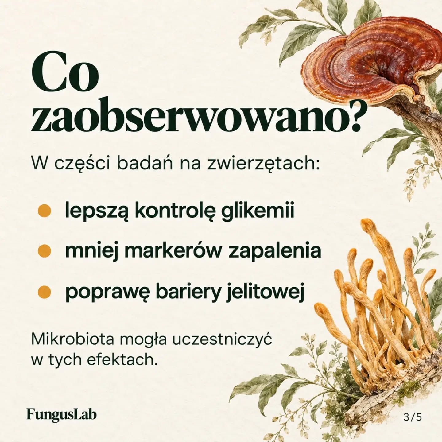 Wpis z Instagrama — 09.10.2026